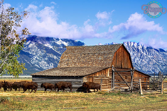 National Bison Range